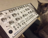 Moog - Mother32 Cats n Cable Panel